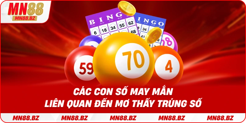 Gợi ý bộ số tài lộc gắn với giấc mơ trúng thưởng